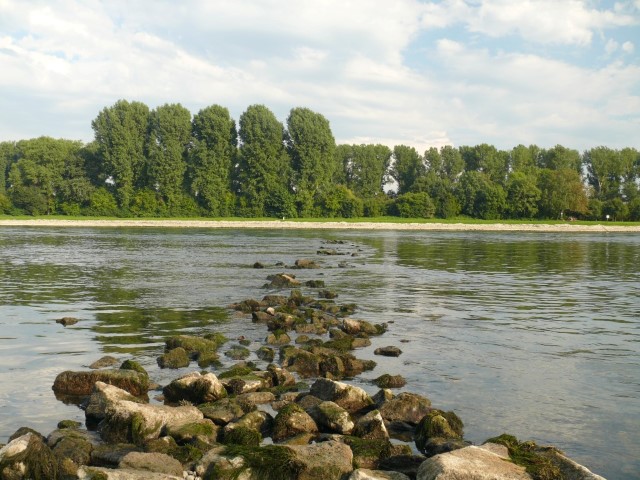 Rheinbuhne