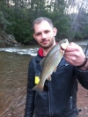 Rainbow Trout, Valley Creek PA USA